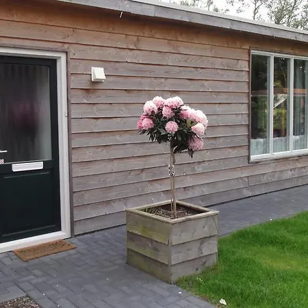 Vakantiechalet Wilsumer Berge Wilsum